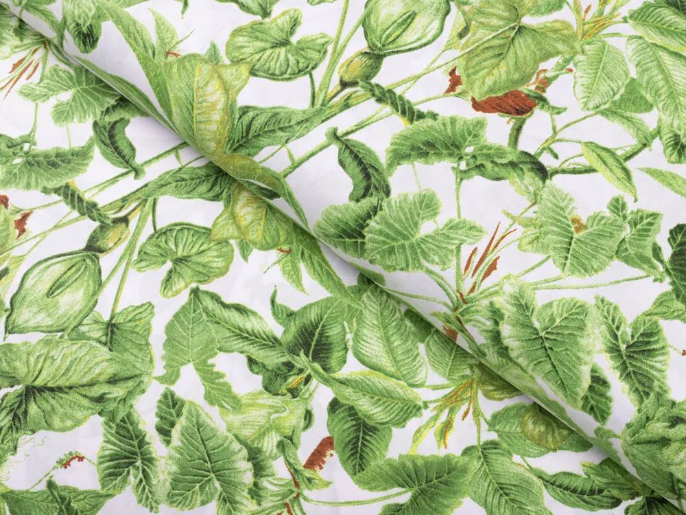 Biante Bavlnená obliečka na vankúš s lemom Sandra SA-297 Zelené izbové rastliny na bielom 35 x 45 cm