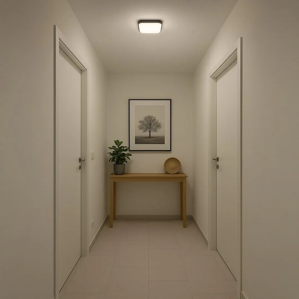 Stropné LED svietidlo Nemo, 1x LED 11w, 4000k, b