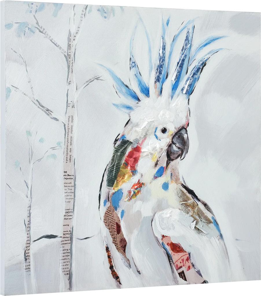 [art.work] Ručne maľovaný obraz - kakadu - plátno napnuté na ráme - 50x50x2,8 cm