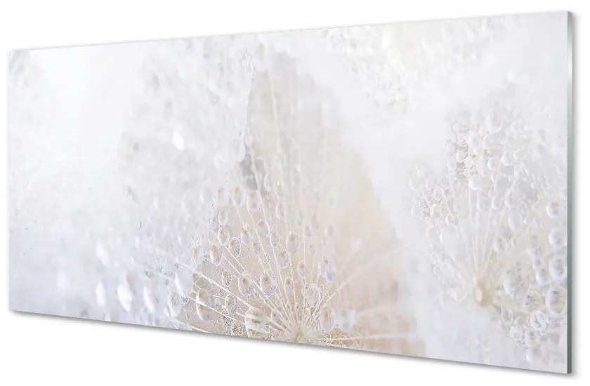 Obraz na skle Kvapky púpava abstrakcie 120x60 cm