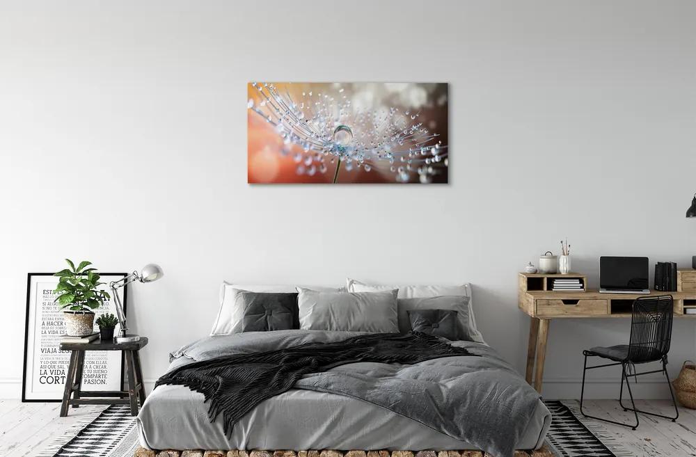 Obraz canvas Kvapky makro púpava 120x60 cm