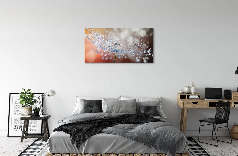 Obraz canvas Kvapky makro púpava 140x70 cm