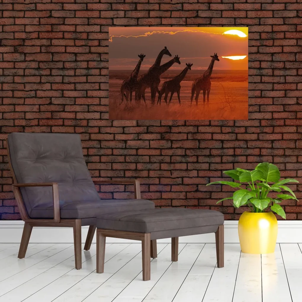 Obraz - Žirafy v africkej savane (90x60 cm)