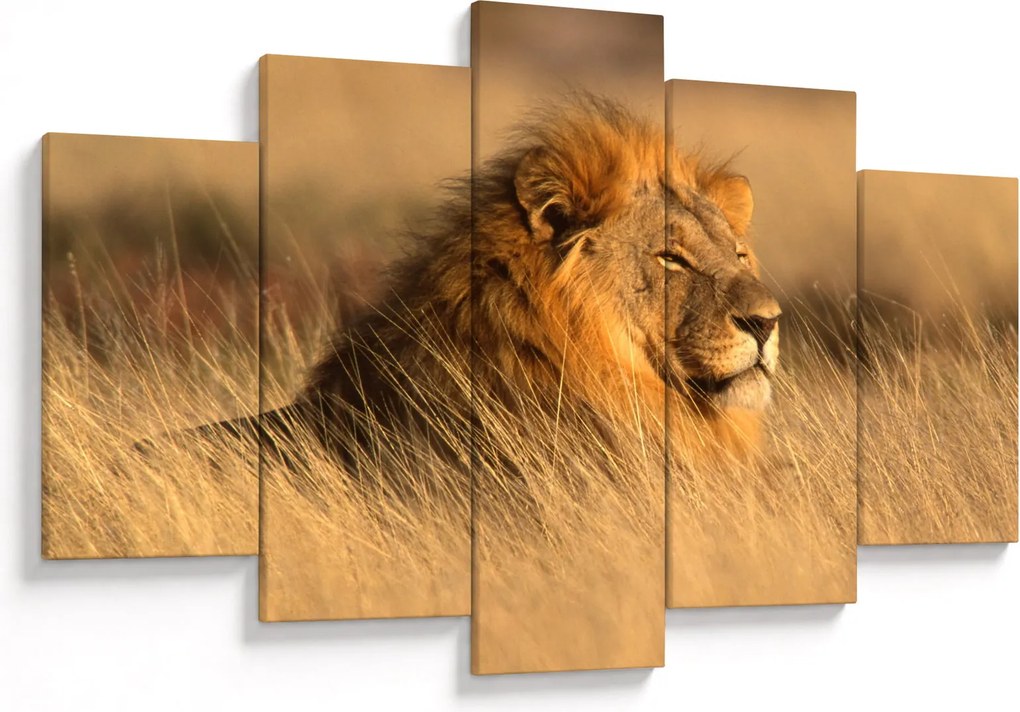 Obraz - Národný park Etosha (150x105 cm)