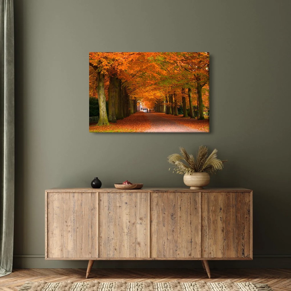 Obraz - Jeseň Alej stromov (90x60 cm)