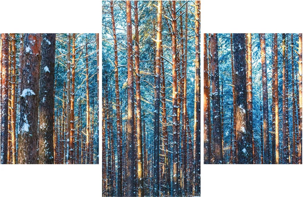 Obraz - Zimný les (90x60 cm)