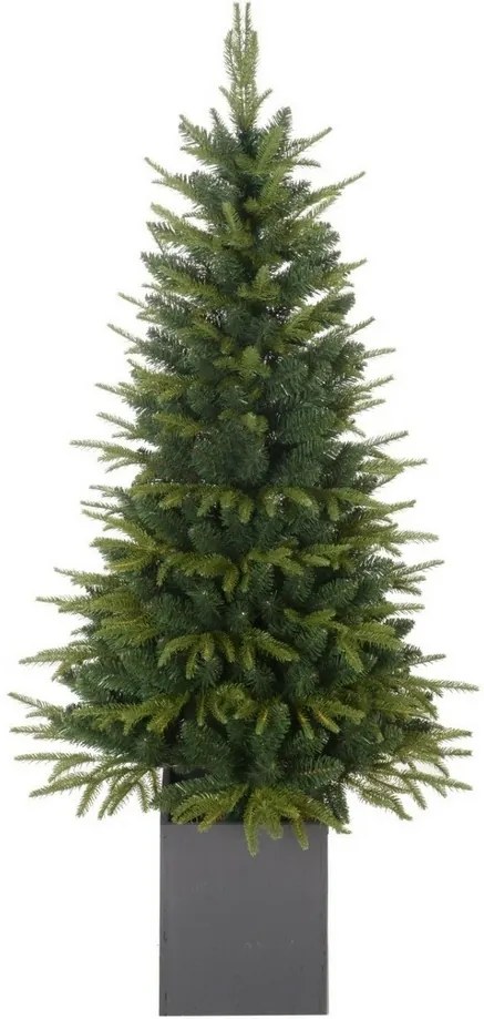Vianočný stromček Smrek, 180 cm
