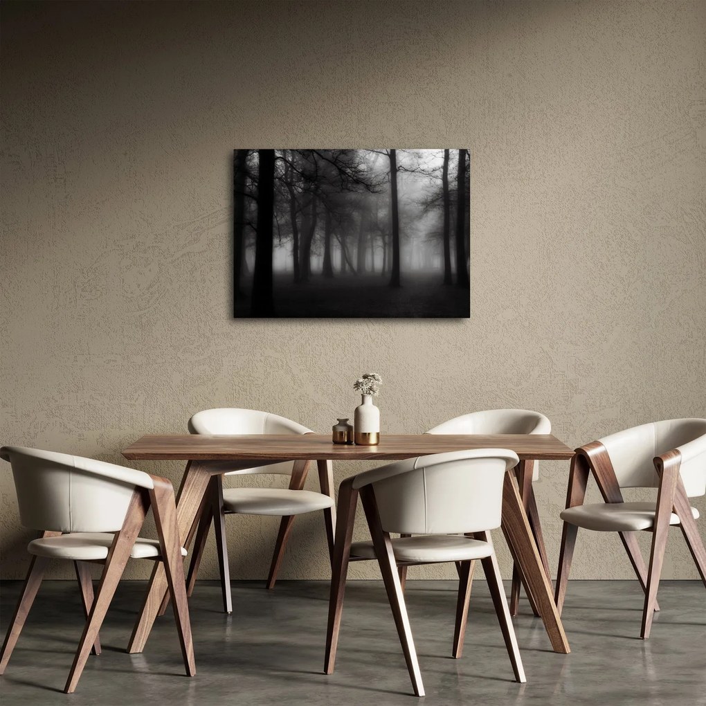 Obraz - Les v hmle (70x50 cm)