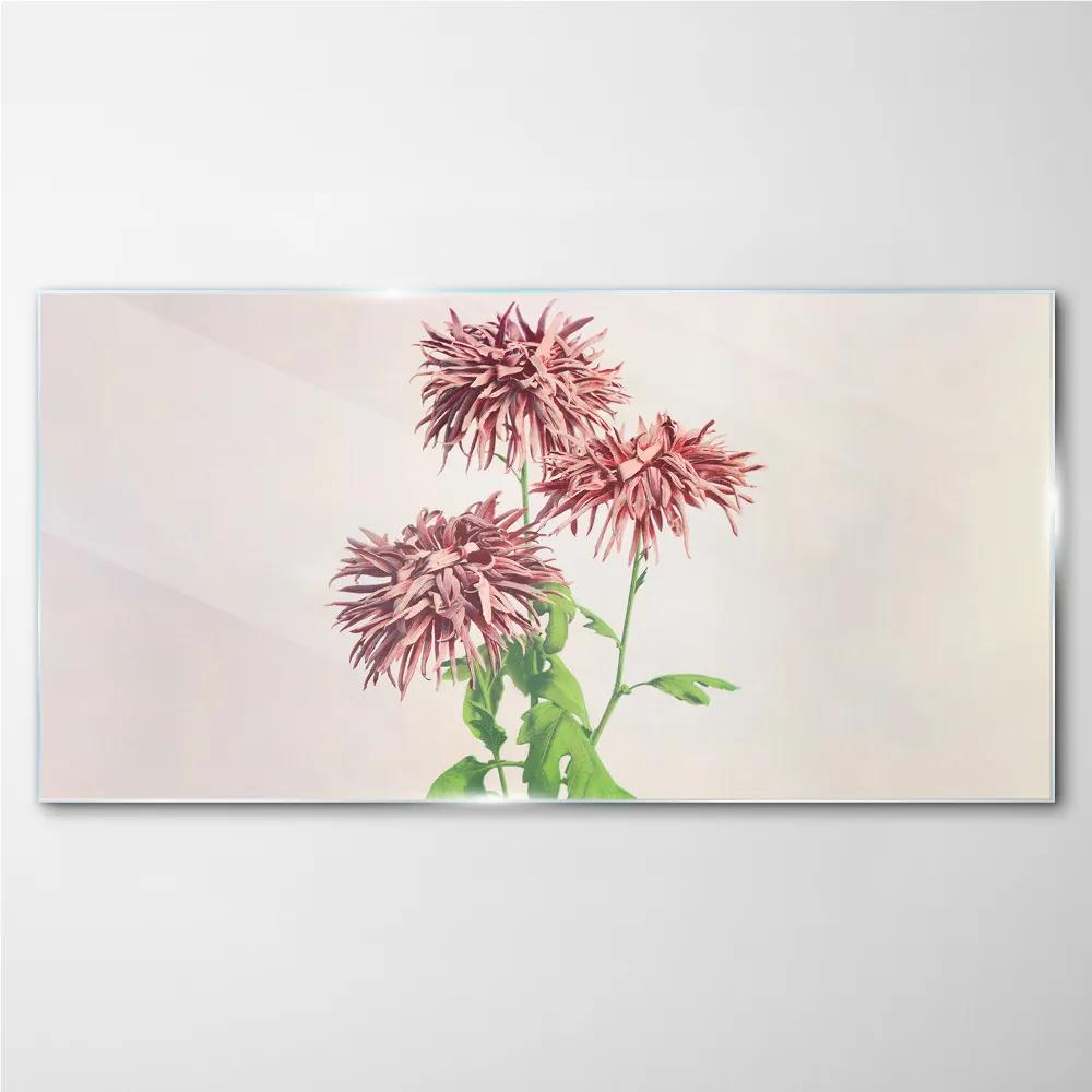 Obraz na skle Kvety rastlín