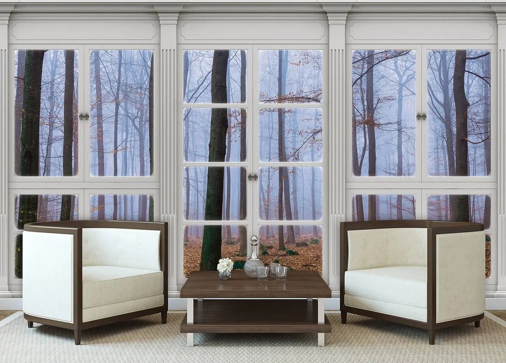 Fototapeta - Výhľad z okna zahalený v hmle (254x184 cm)