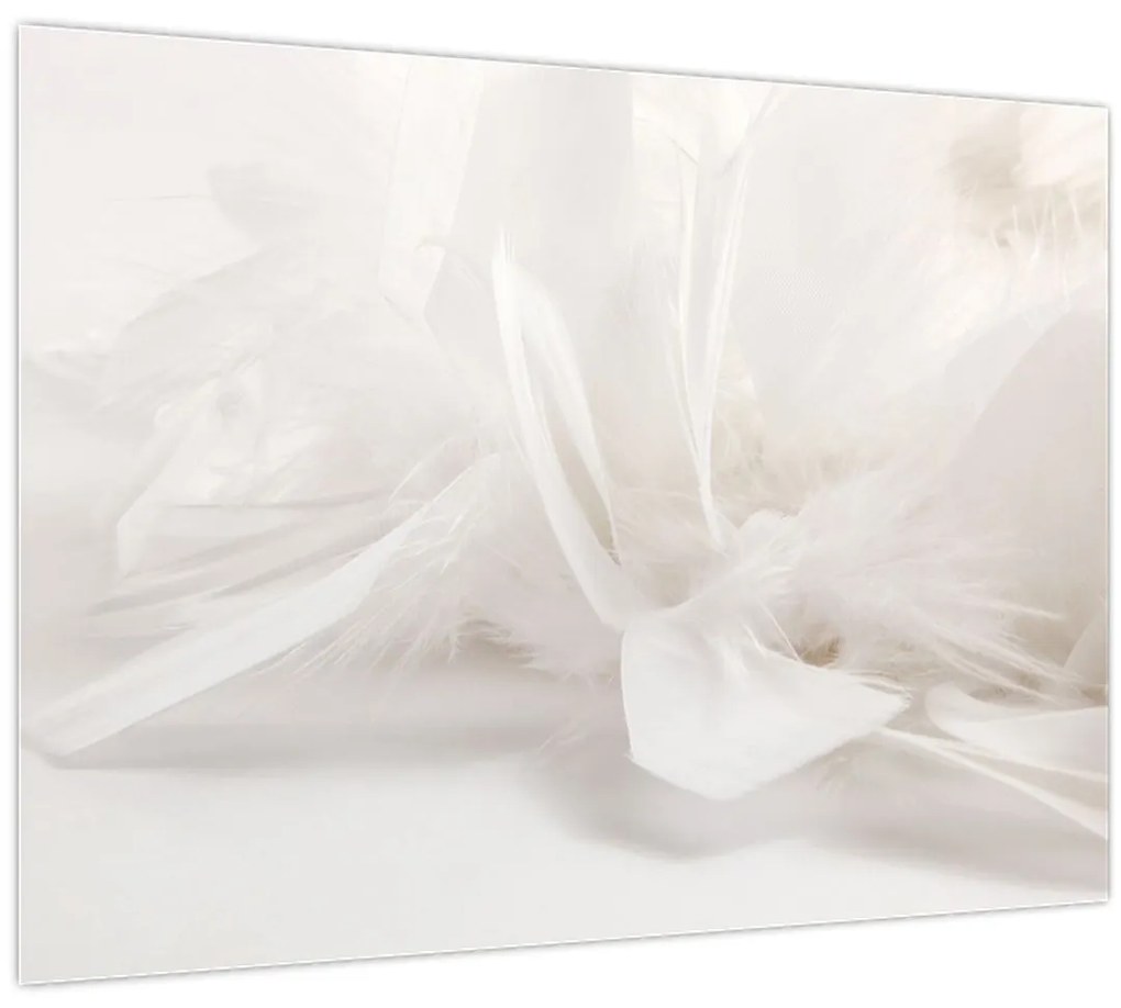 Obraz - Perie (70x50 cm)