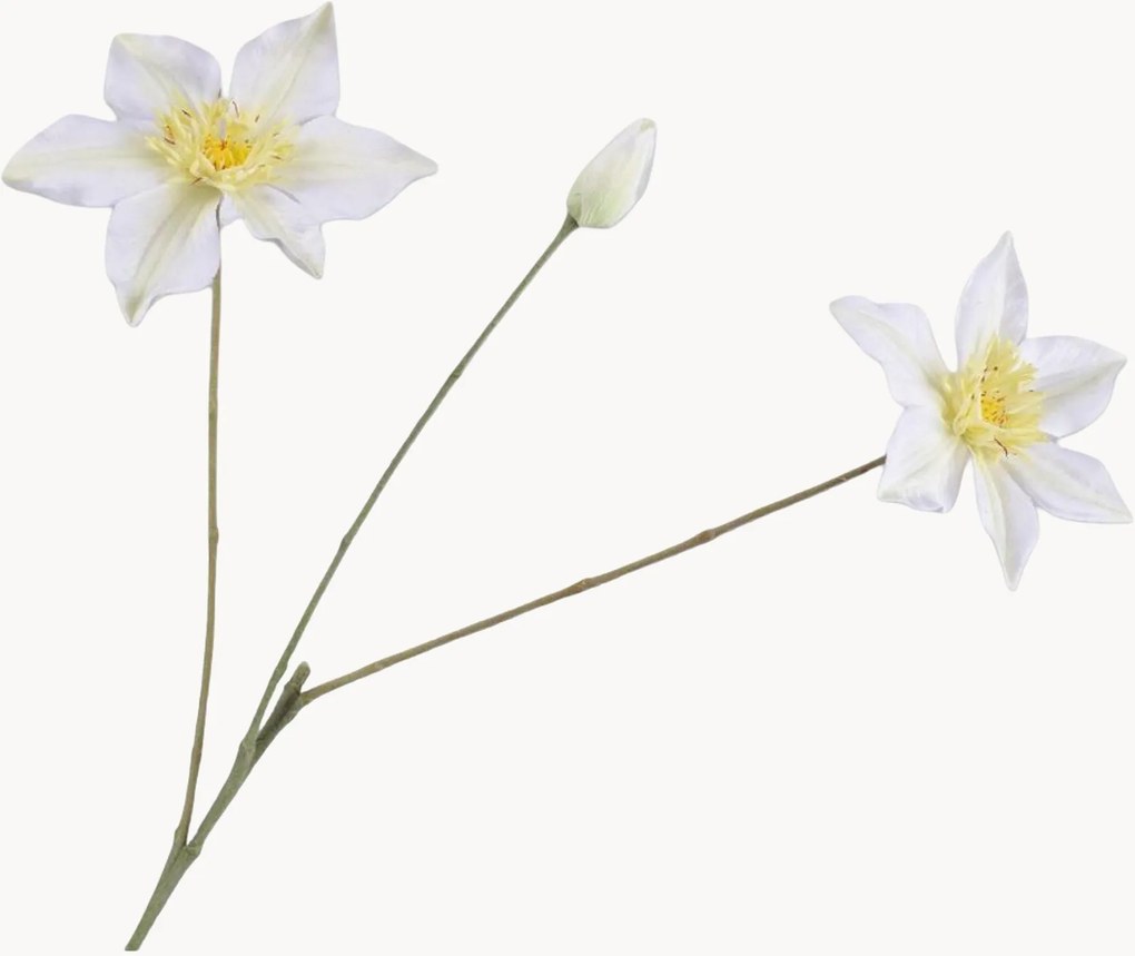 Rastlinné dekorácie Clematis, 2 ks