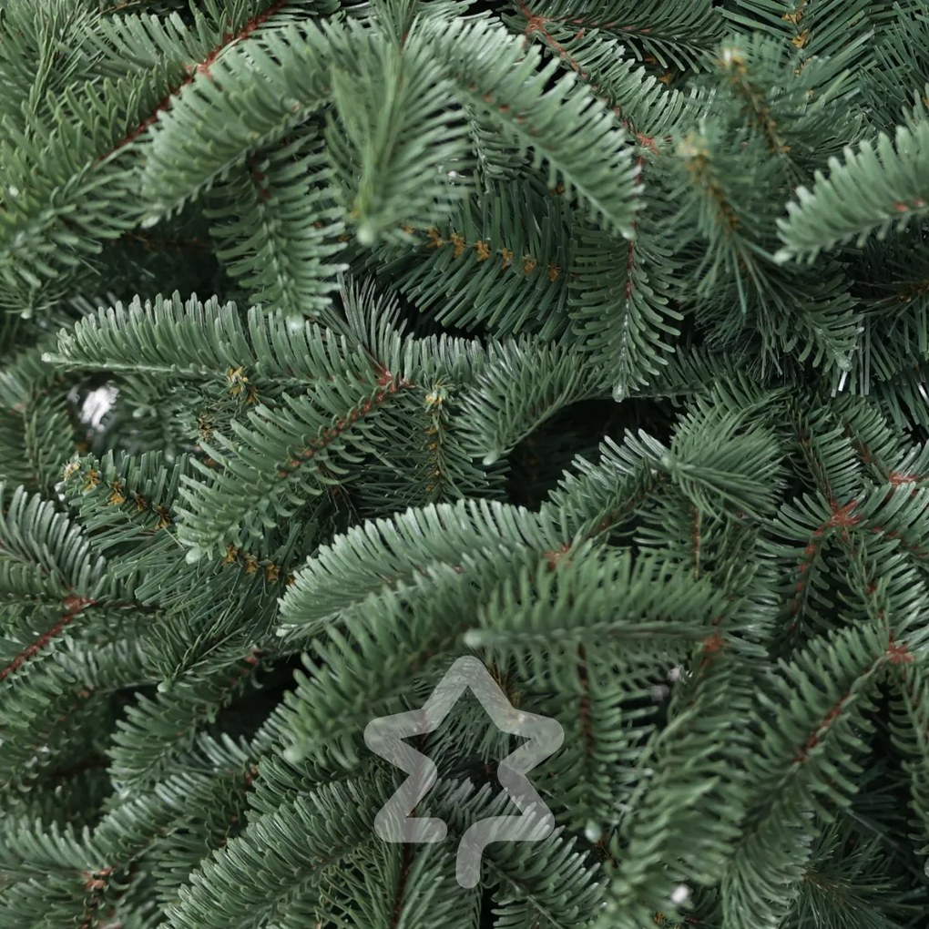 Smrek Oregon extra hustý 180 cm