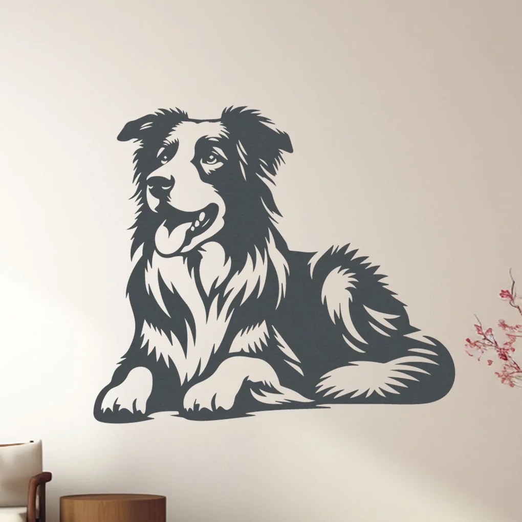 dřevo života Drevený obraz psa BORDER COLLIE Rozmery - cm: 40x34, Zvoľte farbu dekoru: Čierna