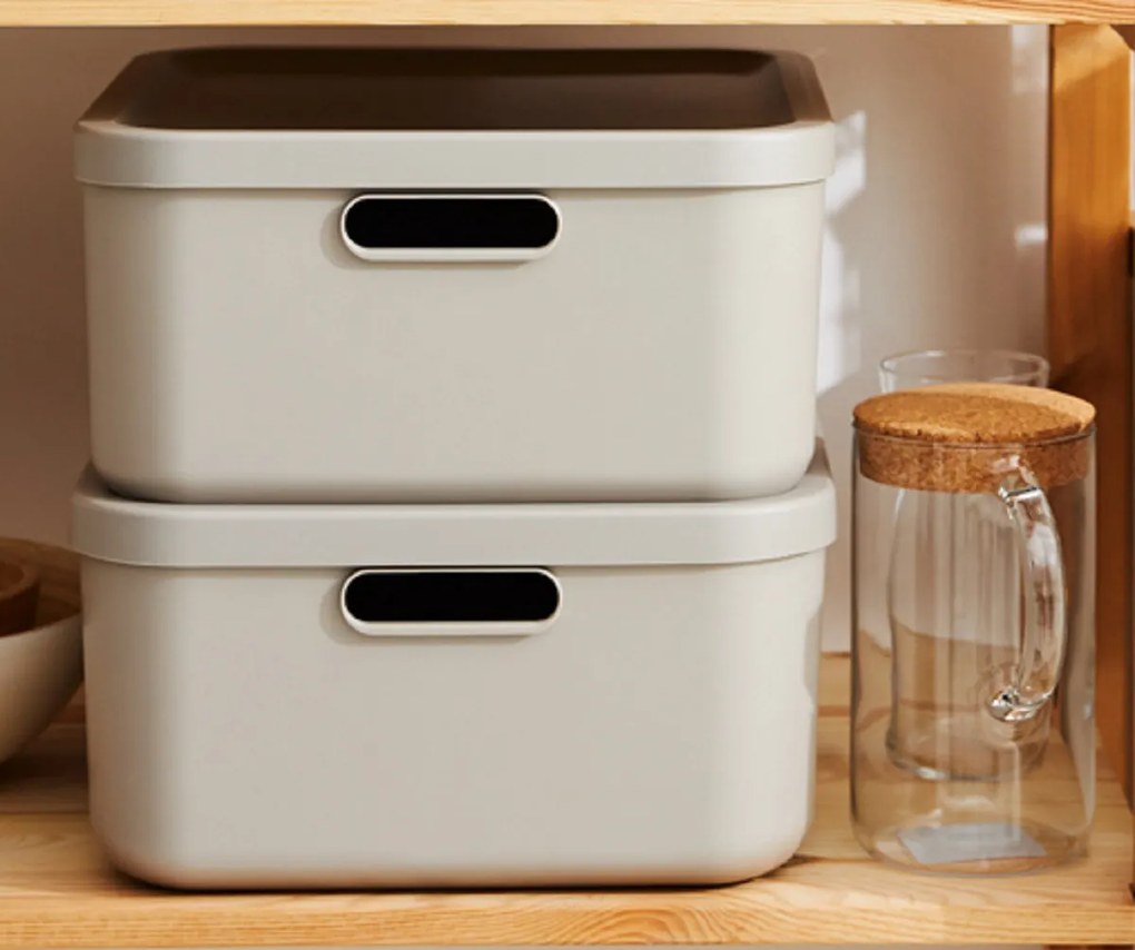 Rotho Úložný box, rovný s víkem, 20l, cappuccino ALBU LIGHT, 40x36x18 cm