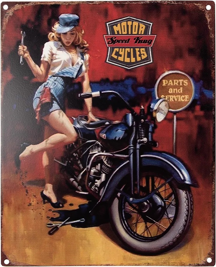 Farebná antik nástenná kovová ceduľa Motor Speed King Cycles - 20*1*25 cm