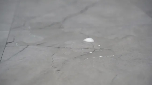 PVC podlaha Viva Venato S94 sivá