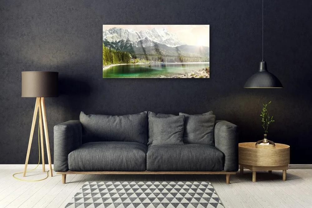 Obraz plexi Hory les jazero príroda 100x50 cm