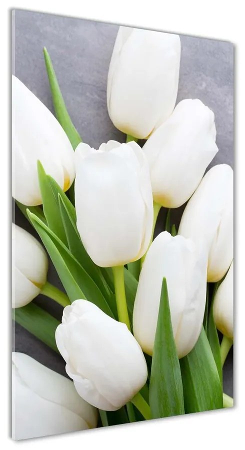 Foto obraz akryl do obývačky Biele tulipány pl-oa-70x140-f-104270630