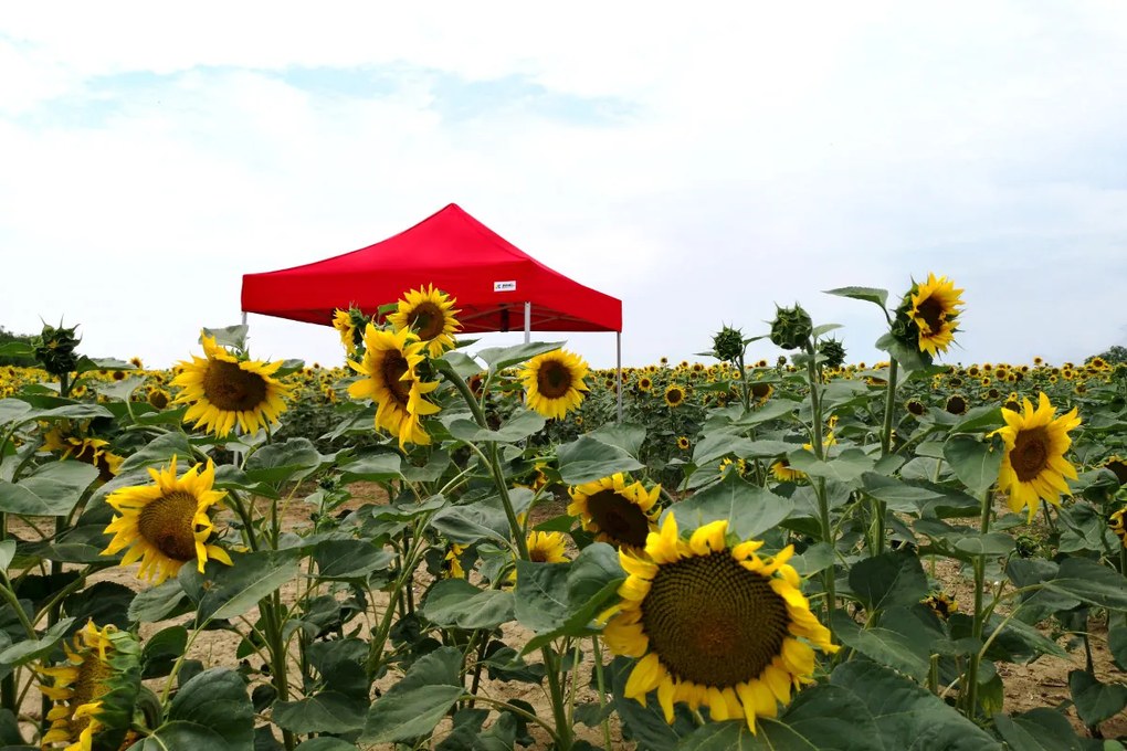 BRIMO Hliníkový promo stan 4x4 m ALU EXCLUSIVE – 3 steny, HEX 45 mm - s 3 stenami - Červená 16