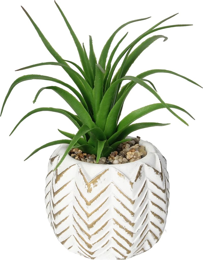 Dekorácie Aloes II 14cm