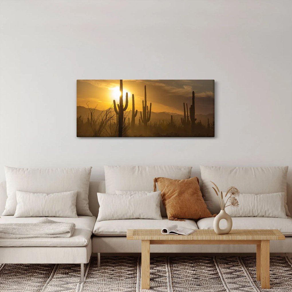 Obraz - Kaktusy Saguaro (120x50 cm)