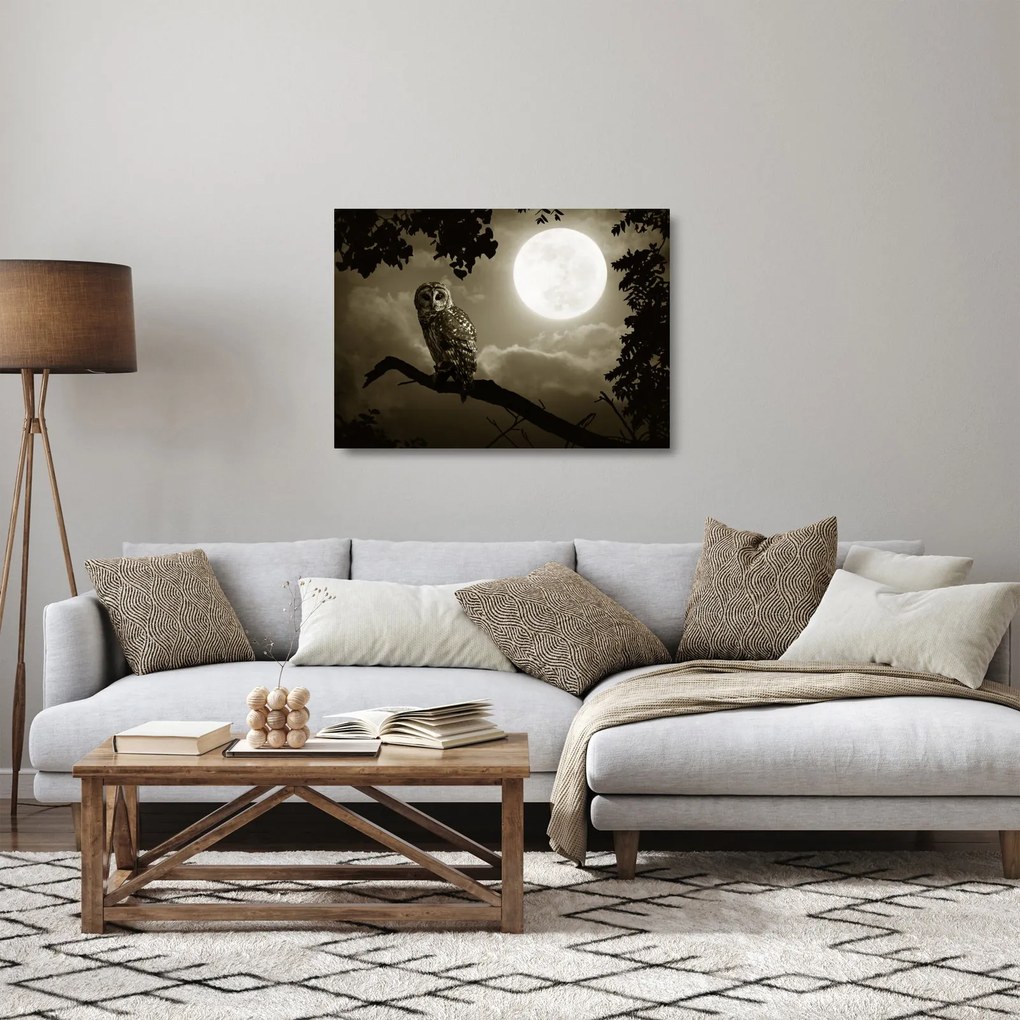 Sklenený obraz - Nočná sova, zlatá (70x50 cm)