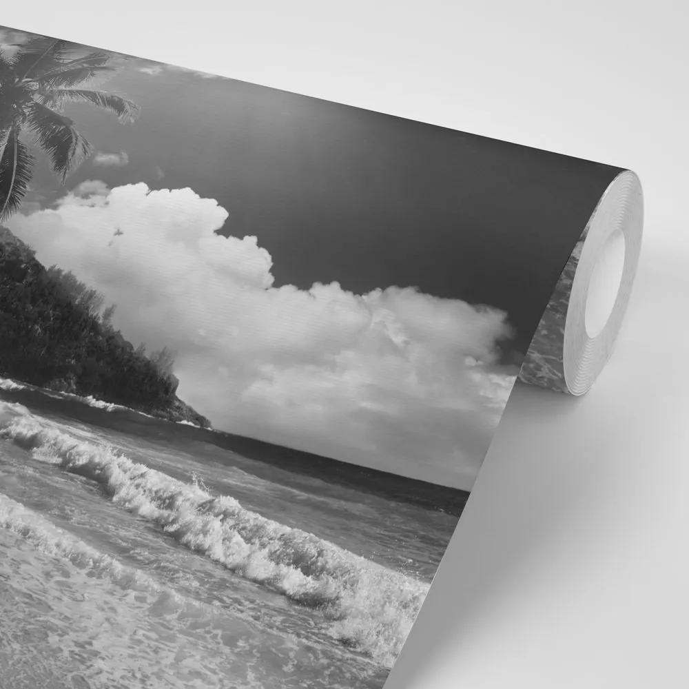 Samolepiaca fototapeta pláž na ostrove Seychely v čiernobielom - 225x150