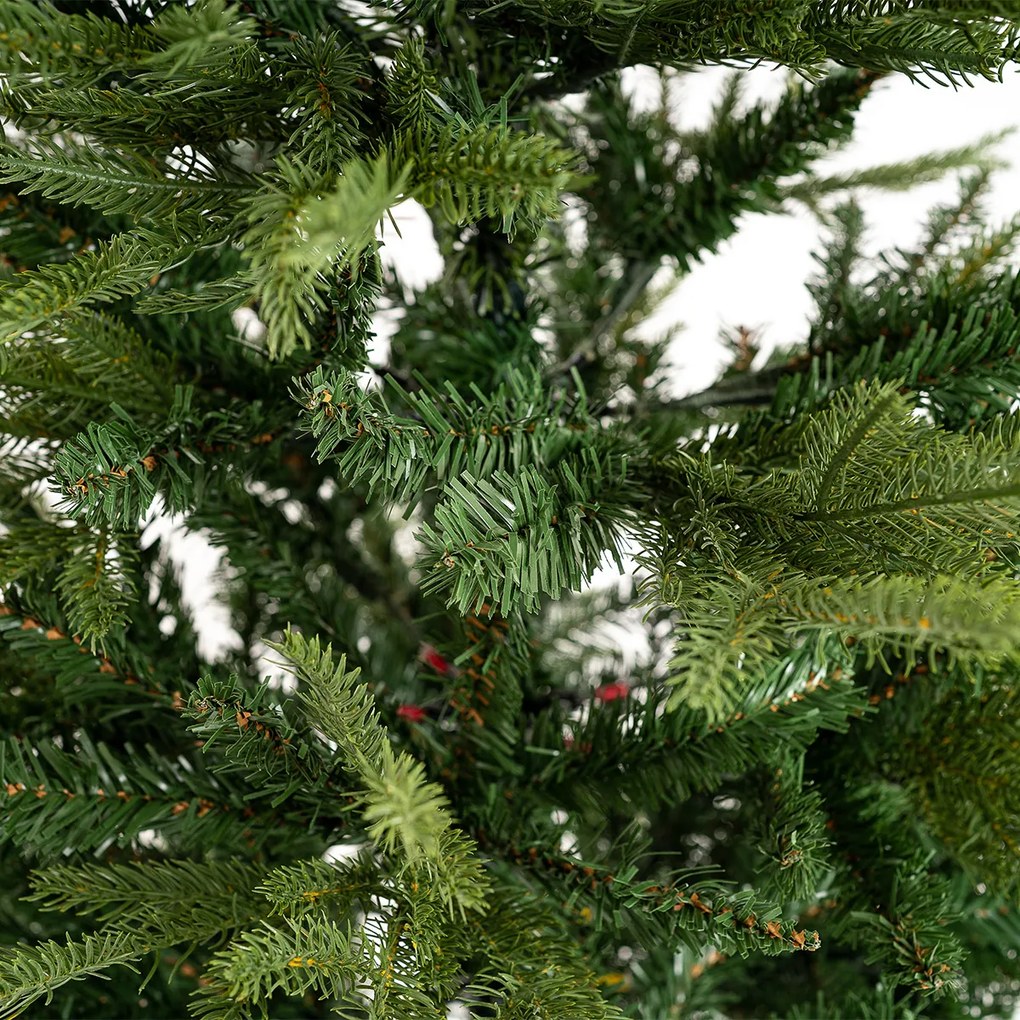 Vianočný stromček Smrek sivý, 150 cm