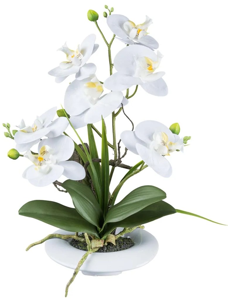 Gasper Orchidea v keramickom kvetináči, 41 cm, biela