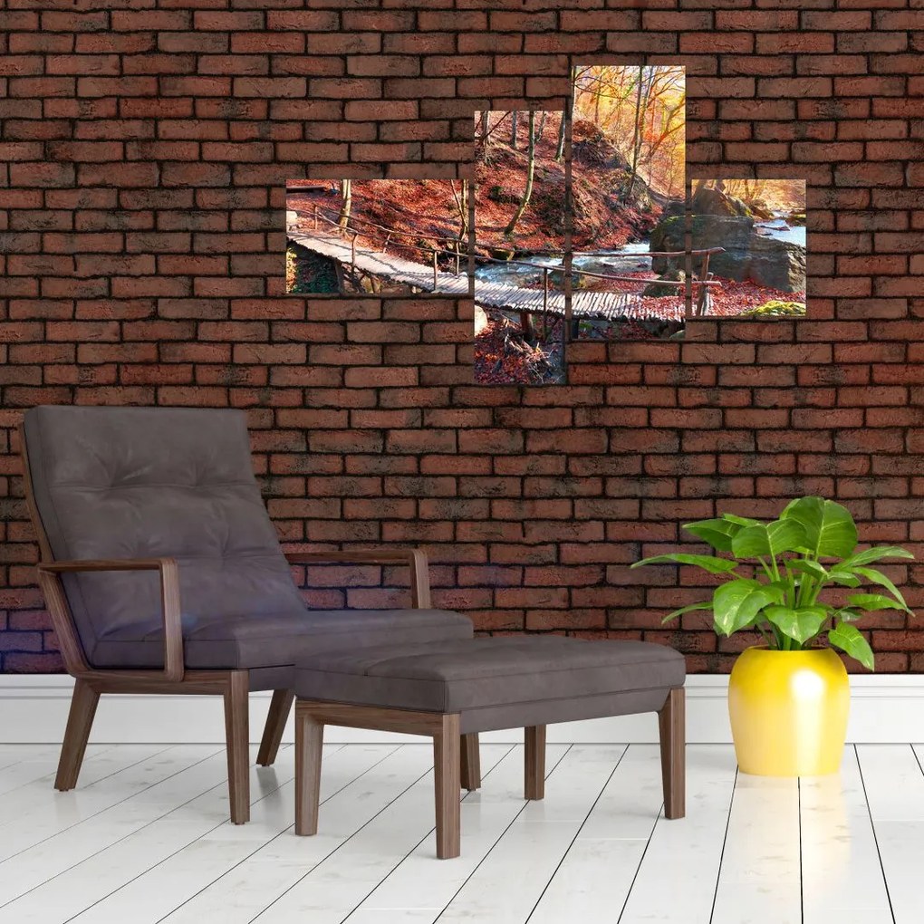 Obraz mosta - jesenné cesta lesom