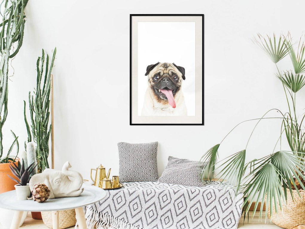 Artgeist Plagát - Pug [Poster] Veľkosť: 20x30, Verzia: Zlatý rám s passe-partout