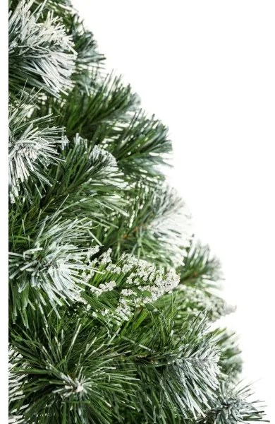 Vianočný stromček na kmeni 180 cm borovica