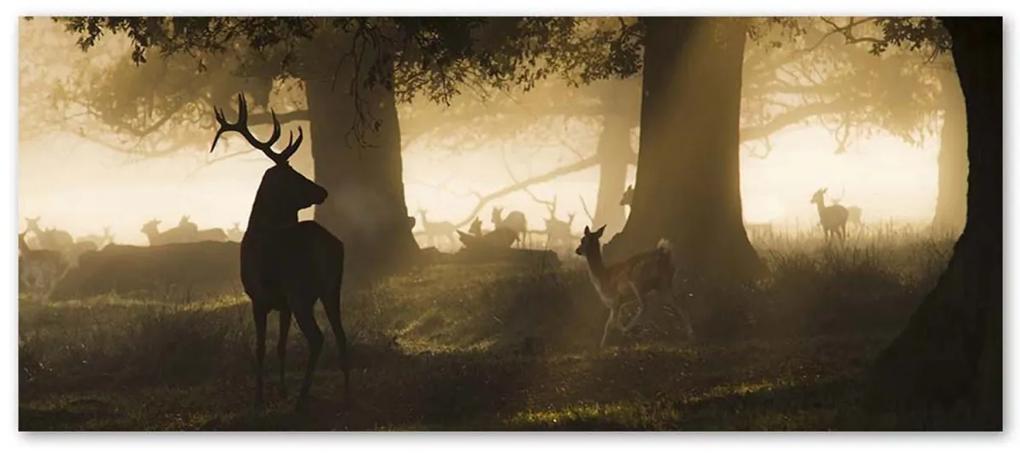 Obraz na plátně Jelen v lese Fog Brown - 120x40 cm