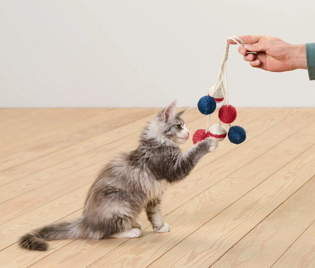 Hračka pre mačky, hrkálka