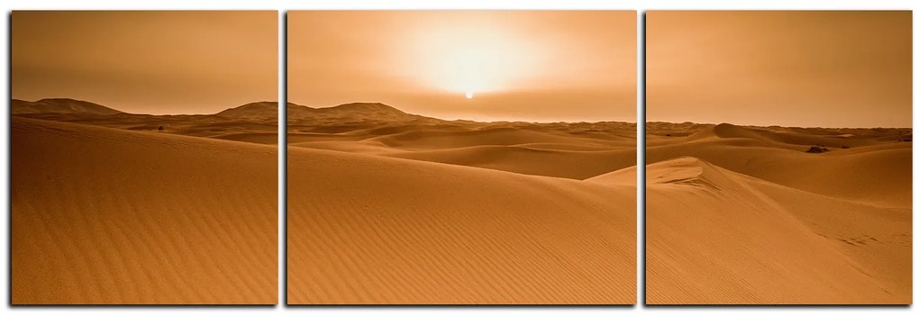 Obraz na plátne - Púšť Sahara - panoráma 5131C (120x40 cm)