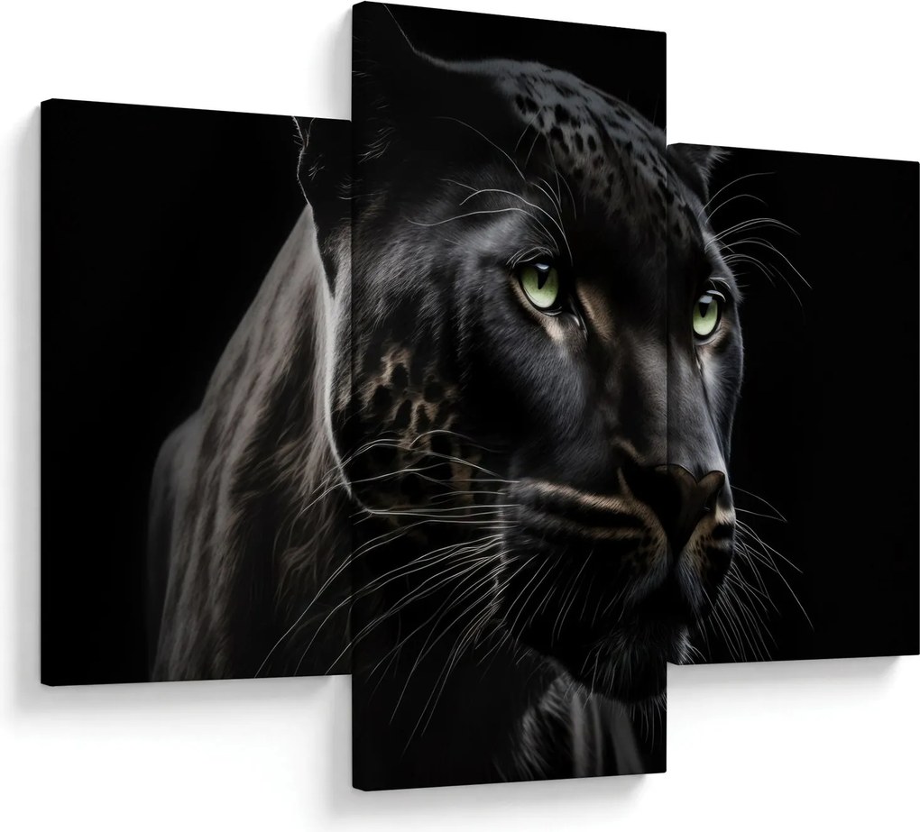 Obraz - Čierny panter (90x60 cm)