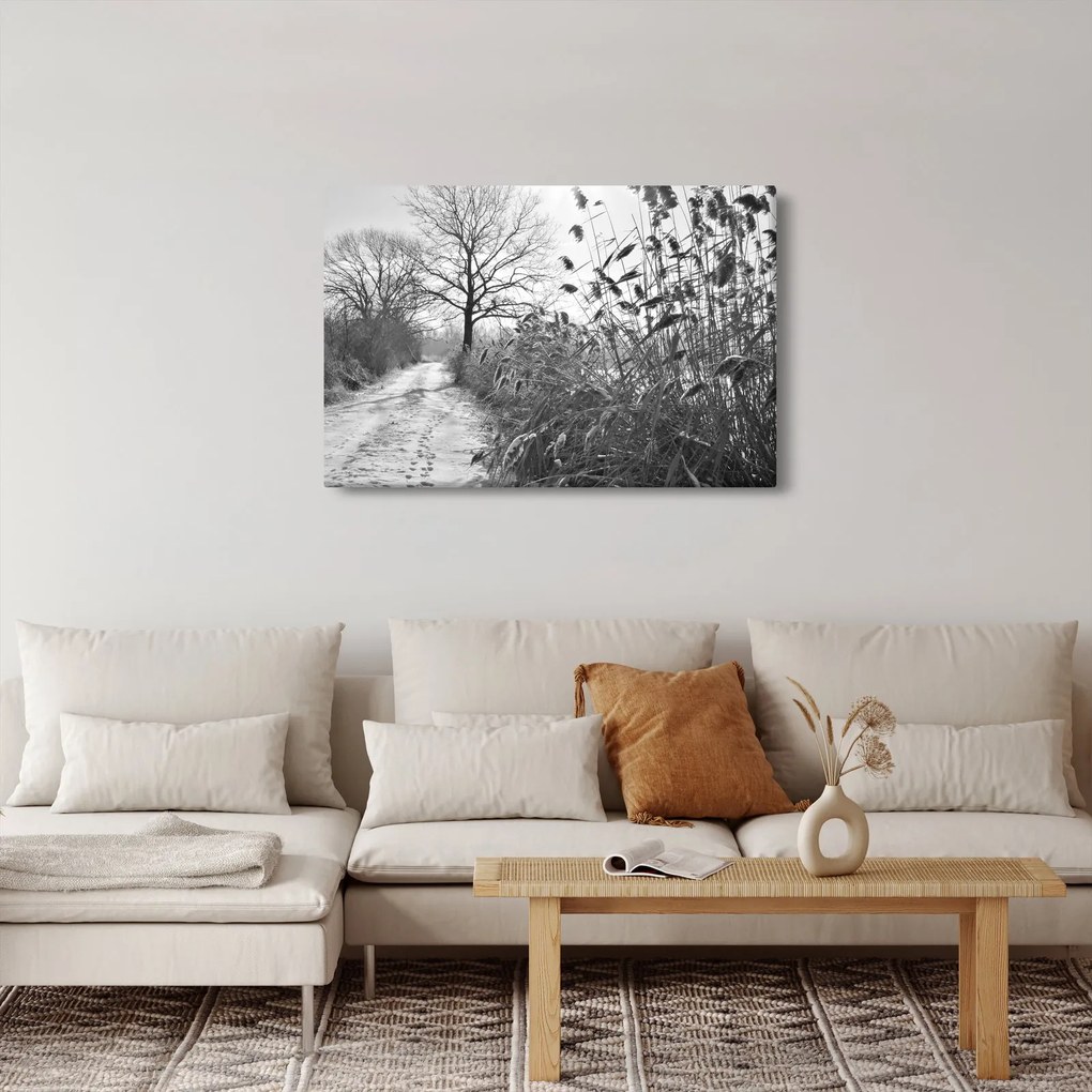 Obraz - Pole v zime (90x60 cm)