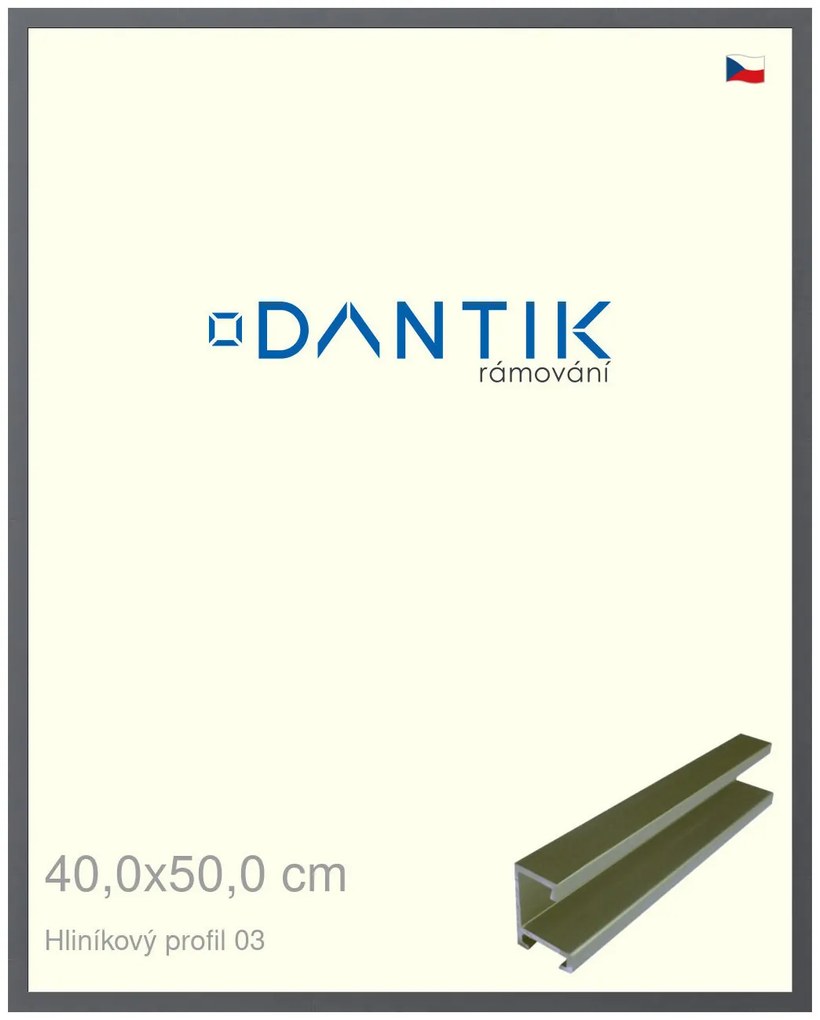 DANTIK rám na obraz 40x50 | ALU Platina matná (Sklo Čiré)