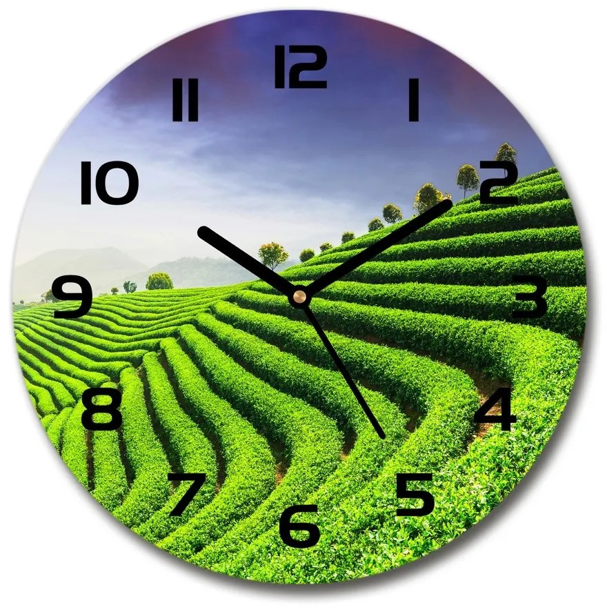 Sklenené hodiny okrúhle Plantace čaju pl_zso_30_c-f_83004057