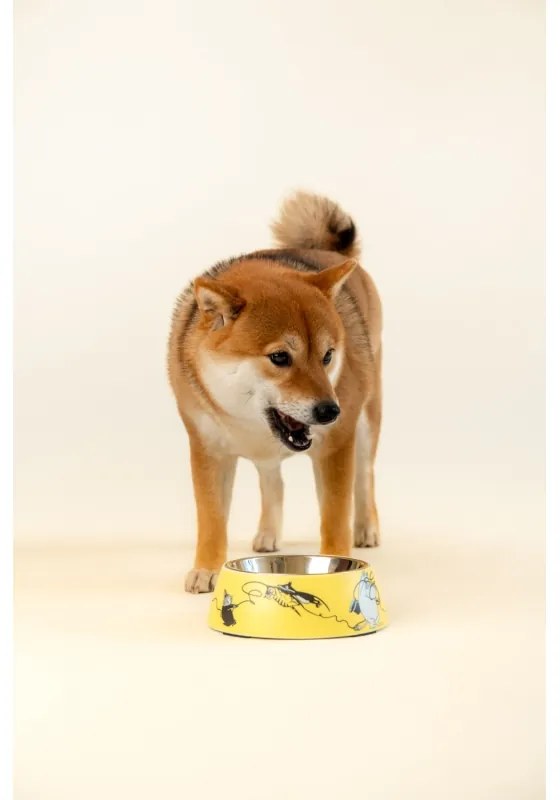 Miska pre psov Moomin Pets M, žltá