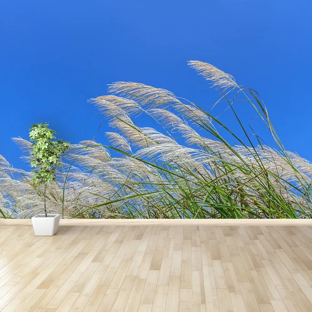 Fototapeta Vliesová Modrá tráva 416x254 cm