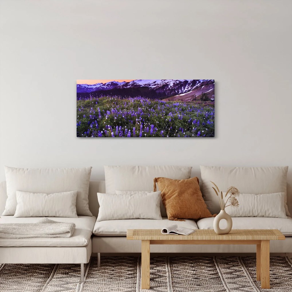 Obraz - Sopka a kvety (120x50 cm)