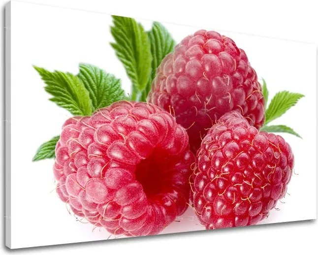 Obraz na stenu KUCHYŇA KU052E11 - 100x150 cm