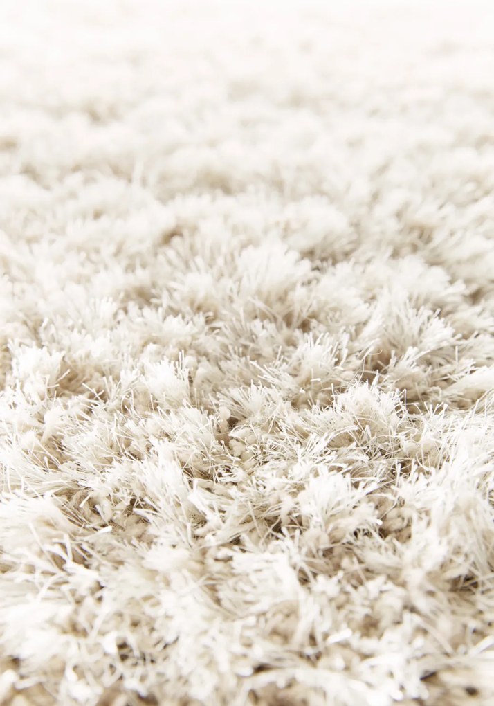 Kusový koberec Rhapsody 2501 100, 240x340, biela, obývacia izba, Osta