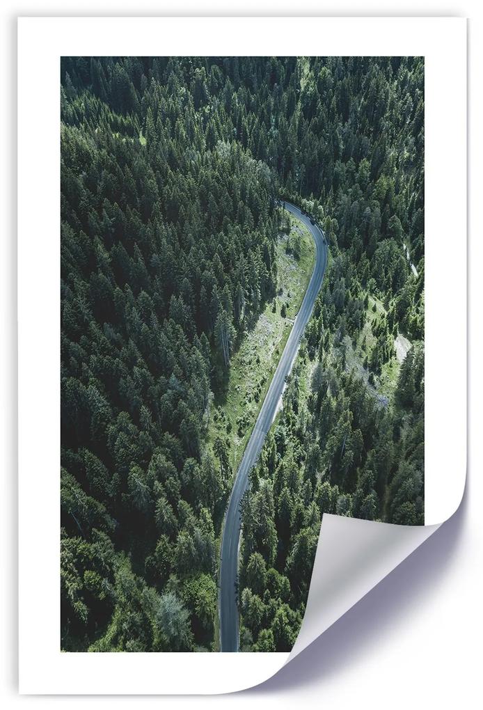 Gario Plagát Cesta v lese Farba rámu: Bez rámu, Rozmery: 40 x 60 cm