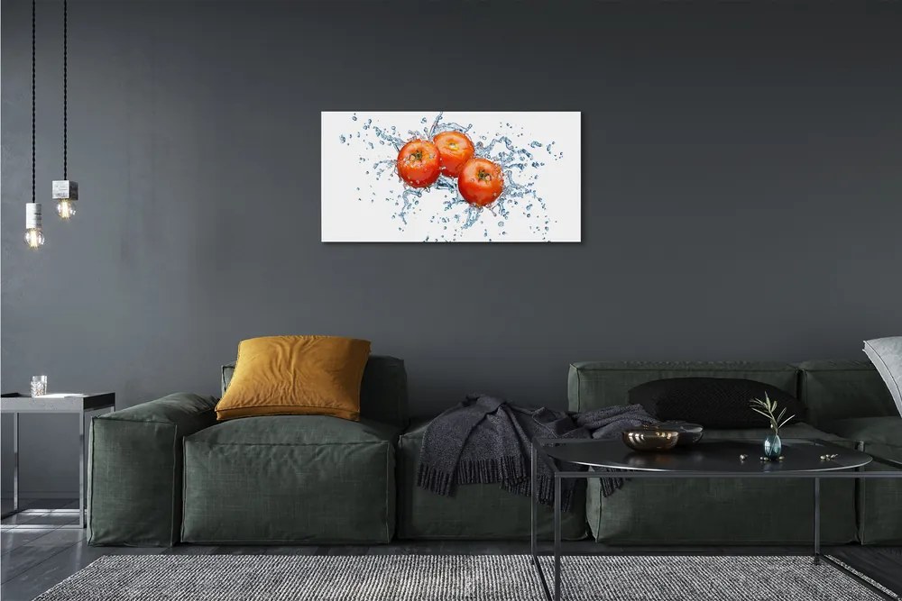 Obraz canvas paradajky voda 120x60 cm