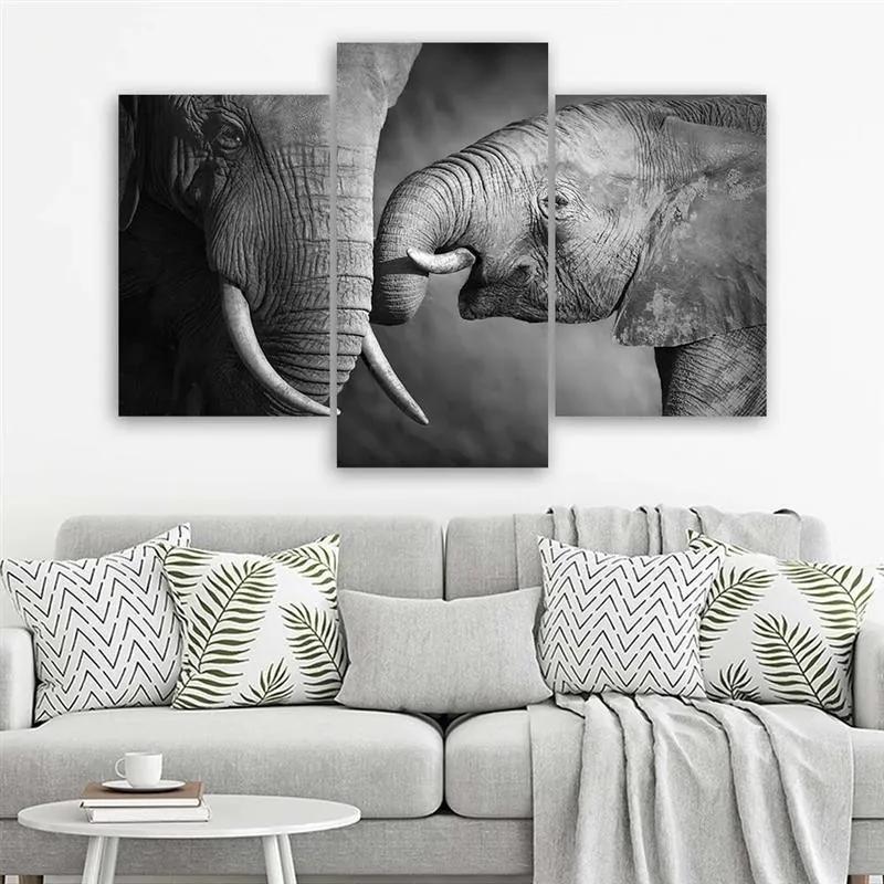Obraz na plátně třídílný Slon černobílý - 120x80 cm