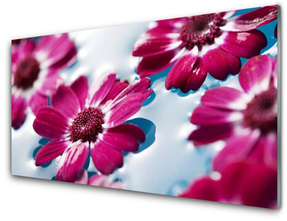 Obraz plexi Kvety na vode príroda 125x50 cm