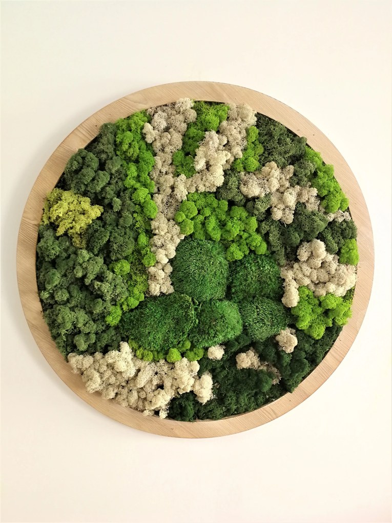 Machový obraz- kruh v drevenom ráme, Priemer machového obrazu ∅ 60cm